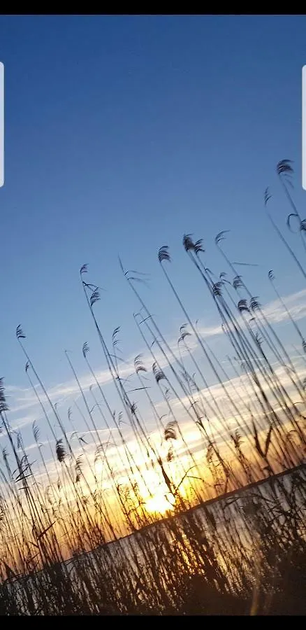 La Culla Di Adeodata Marsala